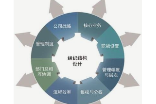 組織分析與優化咨詢